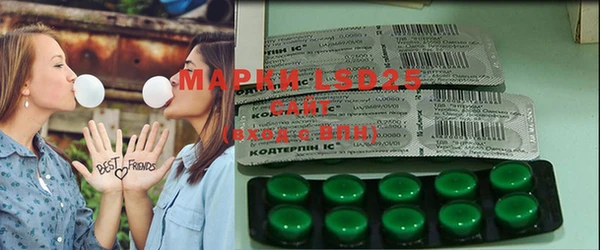 ГАЛЛЮЦИНОГЕННЫЕ ГРИБЫ Балахна
