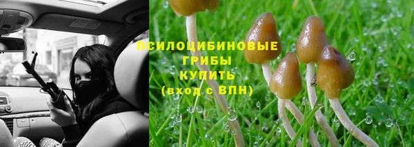 дурь Пересвет